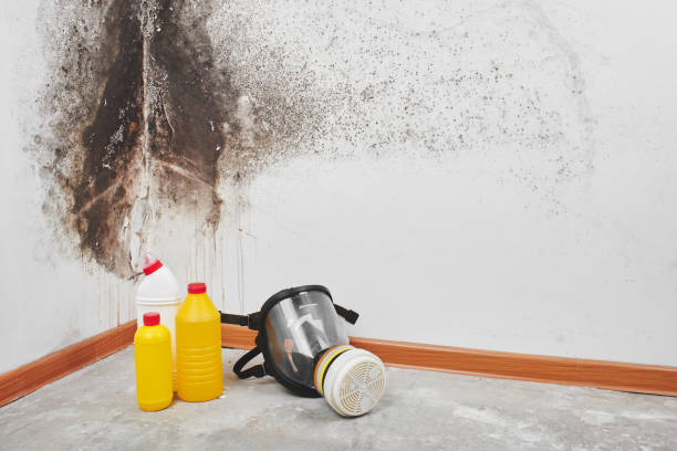 Best Crawl Space Mold Removal  in Westlake, TX
