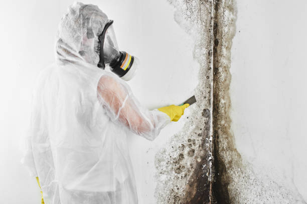 Best Crawl Space Mold Removal  in Westlake, TX