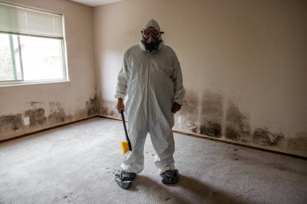 Best Mold Inspection  in Westlake, TX