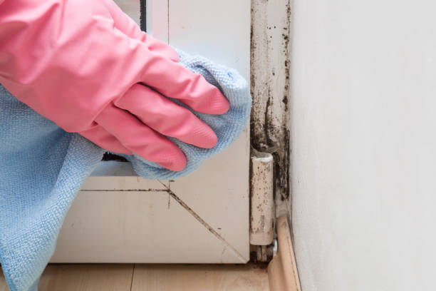 Best Mold Testing  in Westlake, TX